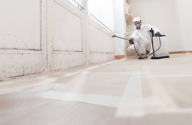 24/7 Emergency Mold Removal experts in Conroe, TX