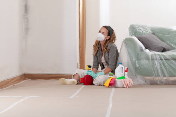 Reliable Mold Removal contractor in Conroe, TX by Mold Remediation HQ